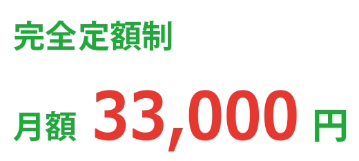 安心の定額制